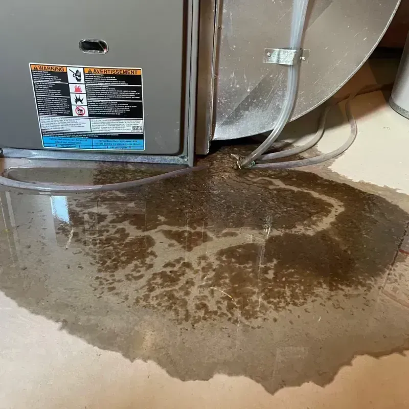 Appliance Leak Cleanup in Byers, CO